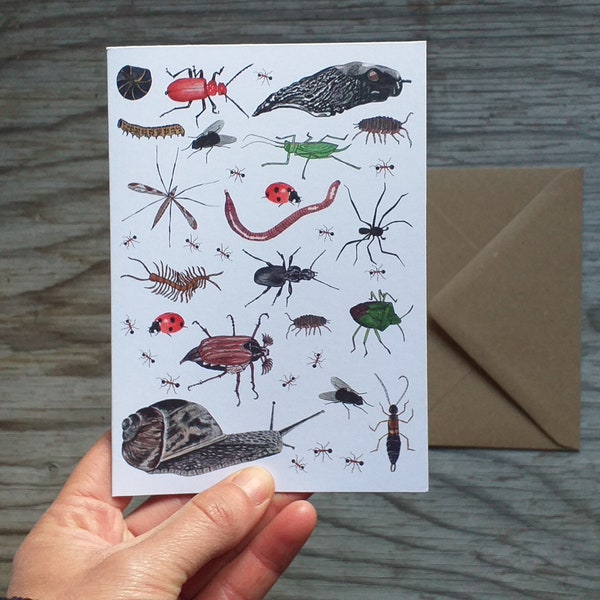 Prachtige mini-beestenkaart van Alice Draws The Line met illustraties van veel insecten en griezelige kruipers, naaktslakken en slakken