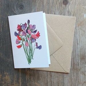 Sweet Peas card by Alice Draws The Line featuring illustrations of a sweet pea bouquet - blank inside; suitable for birthdays / just because