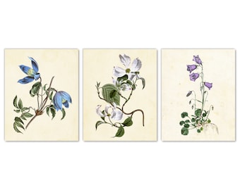 Garden Flowers Wall Art Set of 3 Prints 5x7, Bellflowers Flowering Dogwood Clematis