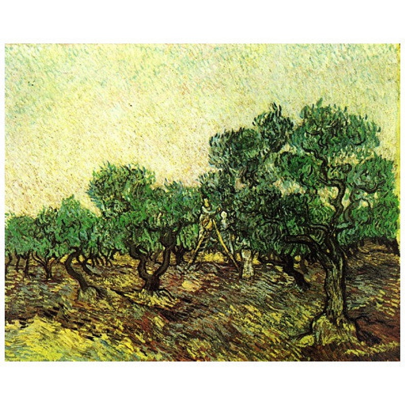 Vincent van Gogh, Olive Picking FRIDGE MAGNET, 1889 Fine Art Repro Mini Gift Refrigerator image 1