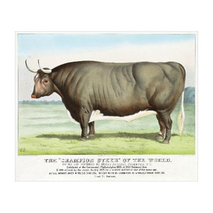 Champion Steer of the World FRIDGE MAGNET, 1877 Ad Advertising Poster Repro Currier & Ives Mini Gift Refrigerator Magnet image 1