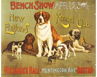 New England Kennel Club Bench Show Werbeplakat KÜHLSCHRANKMAGNET, 1890 Hund Mini Geschenk Kühlschrank