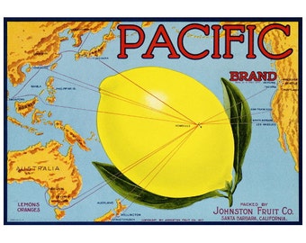 Pacific Brand Lemon Crate Label FRIDGE MAGNET, Santa Barbara California CA Mini Gift Refrigerator