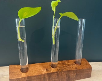 Plant Propagation Station, Glass Propagation Tubes with Nature Wood Base