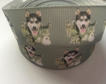 Webband 3658 Husky 22mm Breite Eigenproduktion Ripsband Borte