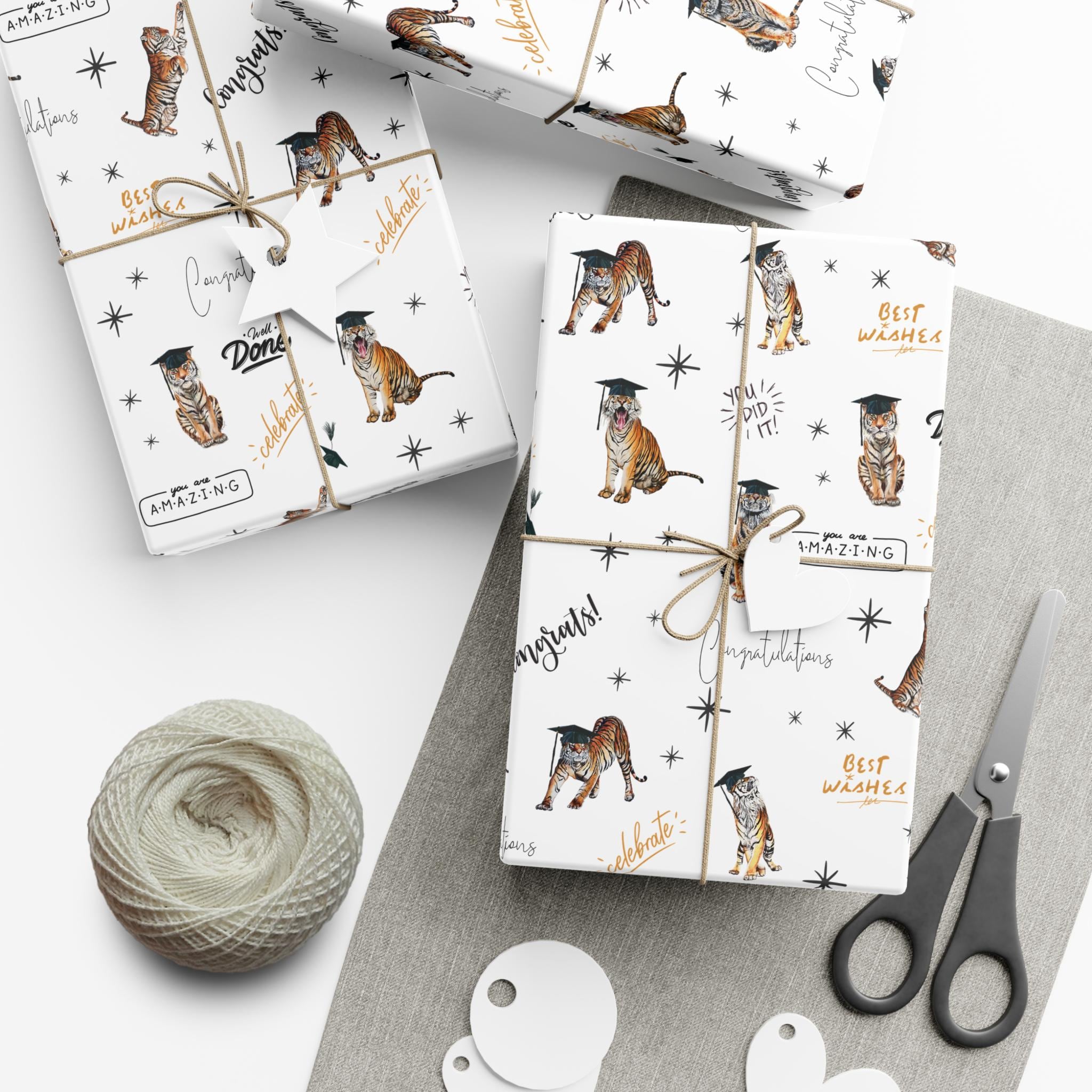 Princeton Graduation