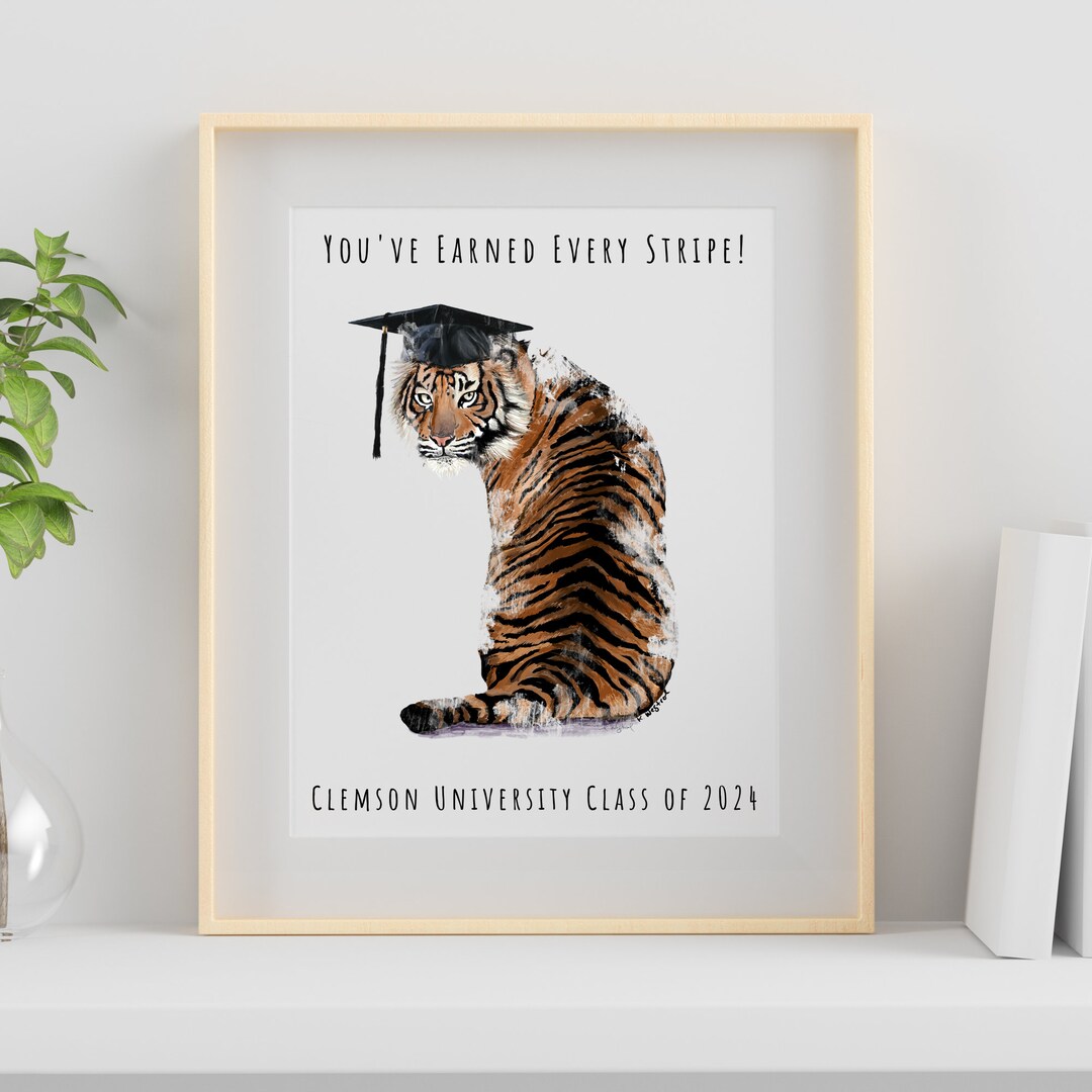 You've Earned Every Stripe Clemson 2024, Clemson Graduation Gift 2024