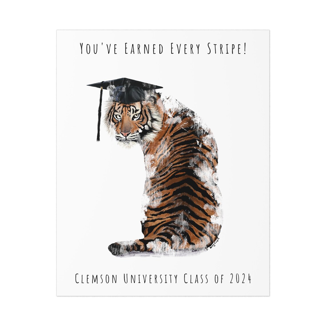 You've Earned Every Stripe Clemson 2024, Clemson Graduation Gift 2024