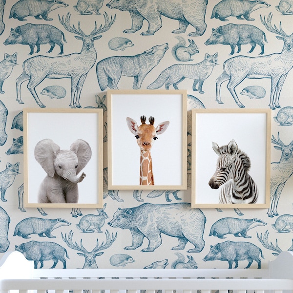 Safari nursery art for baby, PRINTABLE nursery art, Zoo animal prints, Baby room art, Nursery wall art, Safari animal prints, Giraffe TCP88_