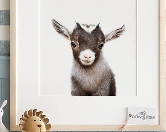 Vintage Art Print Housewarming Gift Goat Art Print Wildlife Artwork Animal Art Print Dictionary Page Print Book Page Print 178KSD Vintage Dictionary Art Print Goat Illustration Vintage Art Print Housewarming Gift Goat Art Print Wildlife Artwork Animal Art Print Dictionary Page Print Book Page Print 178KSD Vintage Dictionary Art Print Goat Illustration