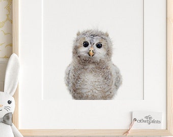 Owl Decor Nursery | Etsy
