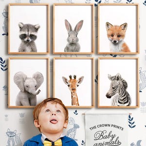 Baby animal prints, PRINTABLE art, Woodland animals, Safari animals, Nursery wall art, Nursery safari prints, Nursery animal decor TCP12_