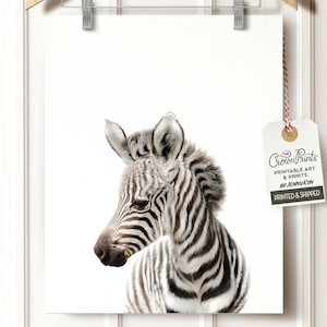 Zebra print, The Crown Prints, Safari nursery art, Nursery decor, Gender neutral baby gift, Baby shower decor, Safari nursery prints