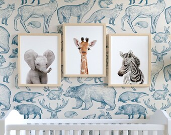 Zoo Animal Nursery | Etsy