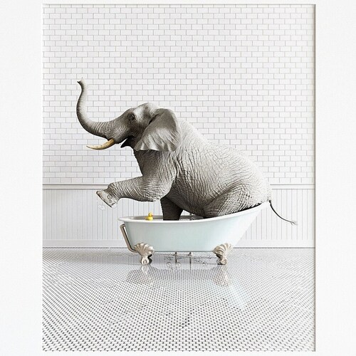 Animals in Bathtub Prints Bathroom Wall Art by the Crown - Etsy