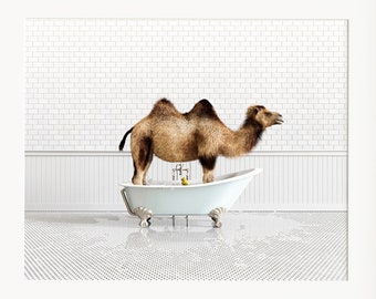 Camel print horizontal, Animals in Bathtubs, Bathroom Wall Art by The Crown Prints, Animals in Bathroom Prints, Kids bathroom, Animal Art
