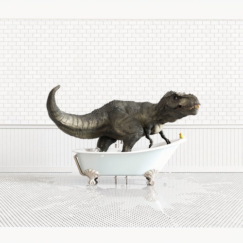 Animals in Bathtub Prints Bathroom Wall Art by the Crown Etsy