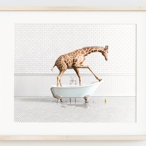 Giraffe horizontal print, Animals in Bathtubs, Bathroom Wall Art by The Crown Prints, Animals in Bathroom Prints, Kids bathroom, Animal Art