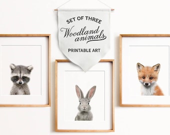 Woodland animals Set of 3, Baby animal prints, The Crown Prints, PRINTABLE art, Baby raccoon, Bunny rabbit, Fox print Nursery wall TCP119_