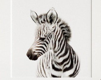 Safari nursery decor, Zebra print, PRINTABLE art, Safari animals wall art, Baby zebra, Safari theme, Nursery wall art, Baby animal