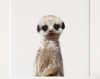 Adorable Little Meerkat Poster Print Size A4 A3 Wild Animals Poster Gift #8554