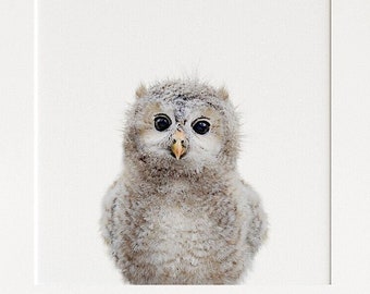 Nursery animal print, PRINTABLE art, Owl print, Woodland nursery decor, Baby animals, Nursery wall art, Baby room, Forest animal TCP58_