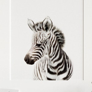 Safari nursery decor, Zebra print, PRINTABLE art, Safari animals wall art, Baby zebra, Safari theme, Nursery wall art, Baby animal image 1