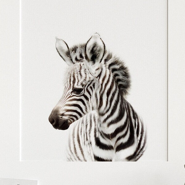 Safari nursery decor, Zebra print, PRINTABLE art, Safari animals wall art, Baby zebra, Safari theme, Nursery wall art, Baby animal