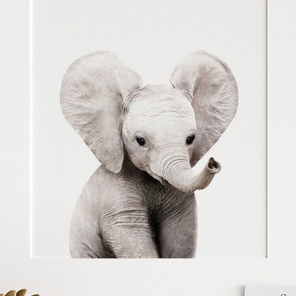 Safari nursery art, Elephant print, PRINTABLE art, Safari animals wall art, Baby elephant, Safari theme, Nursery wall art Safari baby TCP89_
