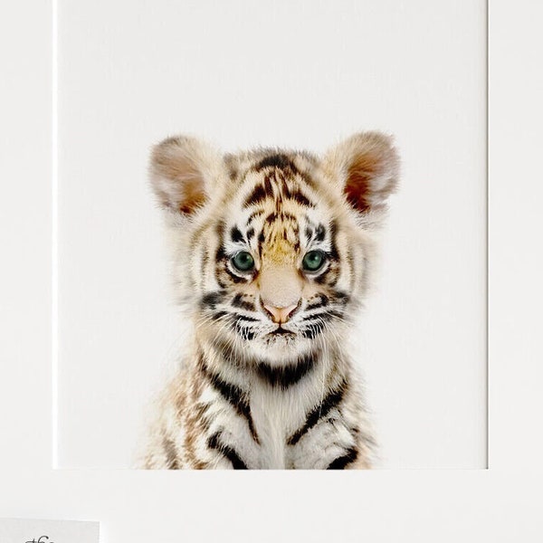 Safari animal prints, Baby Tiger PRINTABLE nursery art, Safari nursery decor, Tiger cub, Jungle animals, Nursery wall art, The Crown Prints