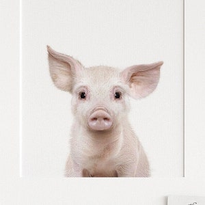 Nursery wall art PRINTABLE ART, Pig Print The Crown Prints, Baby animal prints for nursery, Nursery wall decor, Animal photography
