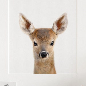 Baby room decor PRINTABLE art, Deer animal prints, Nursery decor, Animal art, Baby animals, Nursery wall art, Kids room, The Crown Prints