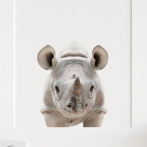 African animal prints, Rhino Rhinoceros, PRINTABLE art, Safari animals wall art, Rhino art, Safari theme, Nursery art, Safari baby room