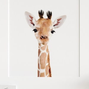 Arte de vivero de Safari, Impresión de jirafa, Arte IMPRIMIBLE, Arte de pared de animales de Safari, Jirafa bebé, Tema de decoración de vivero de Safari, Arte de pared de vivero TCP90_
