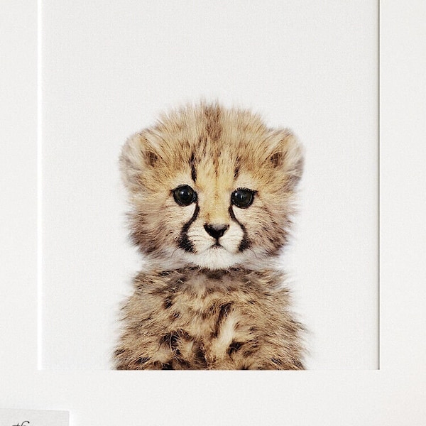 Safari animal prints, Baby cheetah print, PRINTABLE nursery art, Safari nursery decor, Safari animals, Nursery wall art, Nursery wall TCP87_