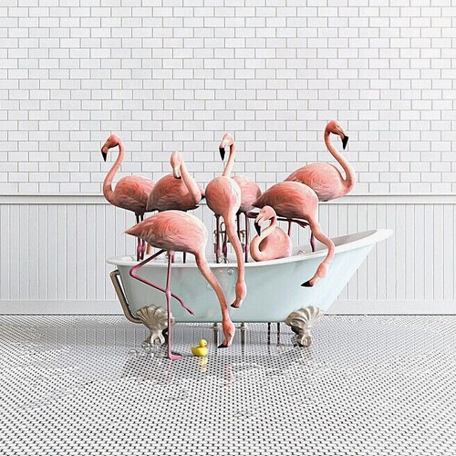 Giraffe Print Animals in Bathtubs Bathroom Wall Art by the Etsy