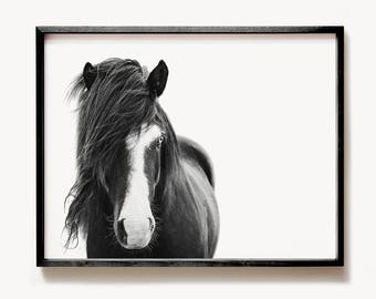 minimalist wall art death horse minimalist wall art death horse