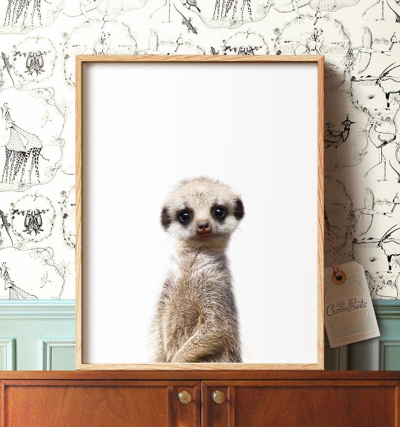 Download Baby meerkat print PRINTABLE art Safari animals wall art ...