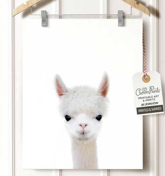 Impresion De Alpaca Bebe Decoracion De La Pared Del Vivero Etsy