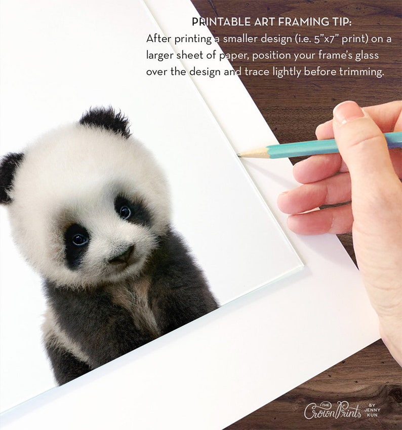 Panda print Panda nursery art PRINTABLE art Nursery decor Etsy