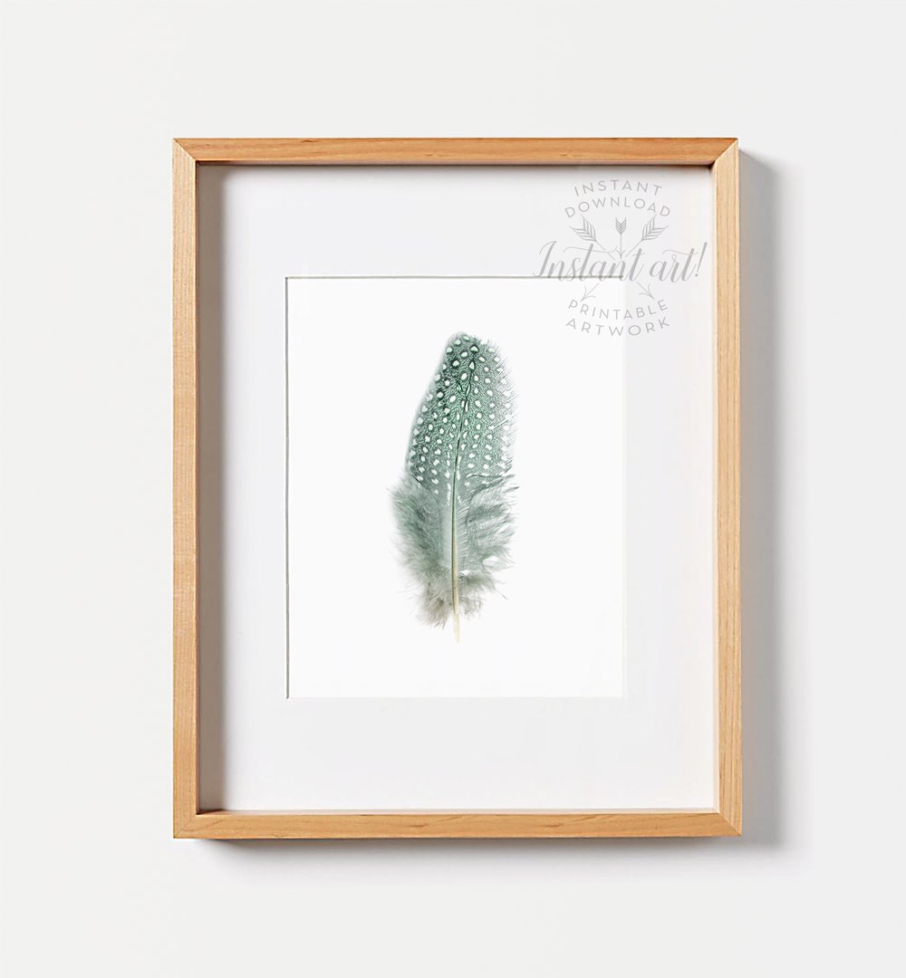 Feather Wall Art PRINTABLE Art Feather Art Print Feathers | Etsy
