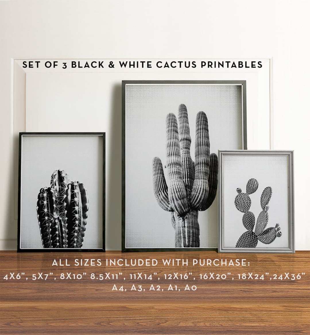 Cactus Prints, Set of 3, PRINTABLE Art, Black and White Photography ...