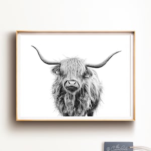 Highland Cow Art, PRINTABLE ART, Black and white horizontal print, Large wall art, Cattle print, Farm animal art, Nursery wall decor, Poster