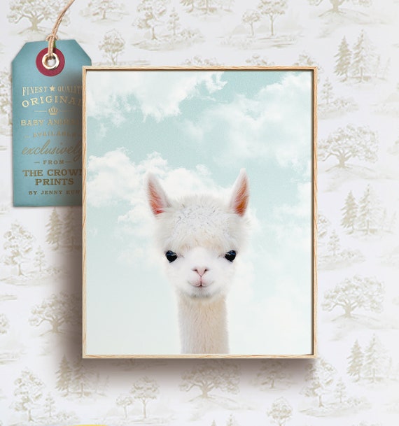 59 Baby Animal Zoom Backgrounds Cafekudus