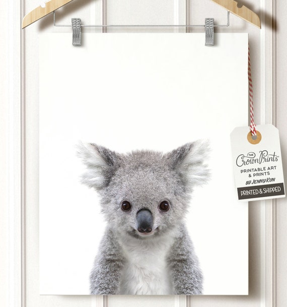 Koala Druck Baby Animal Prints Zoo Tier Kindergarten Die Etsy