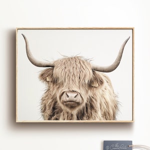 Cow print, PRINTABLE wall ART, Modern farmhouse decor, Digital download print, Highland cattle art, Highland cow art print, Boho wall decor image 1