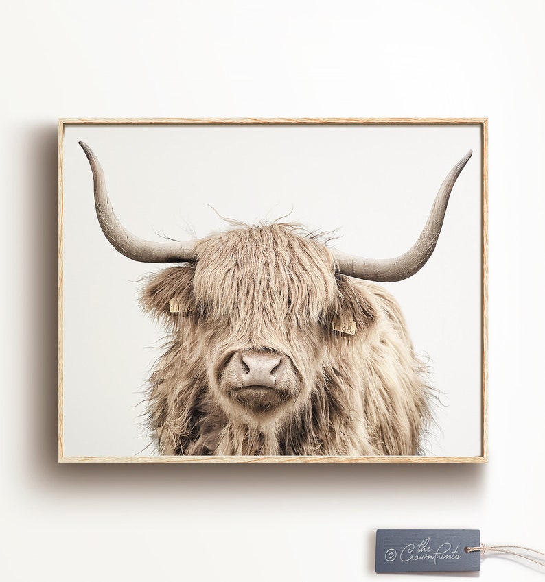 Cow print, PRINTABLE wall ART, Modern farmhouse decor, Digital download print, Highland cattle art, Highland cow art print, Boho wall decor image 1