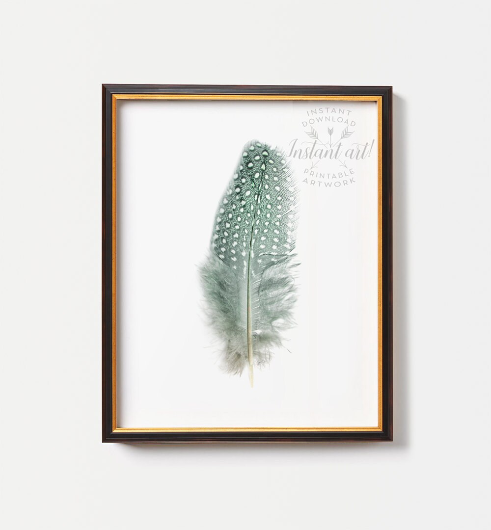 Feather Wall Art PRINTABLE Art Feather Art Print Feathers - Etsy