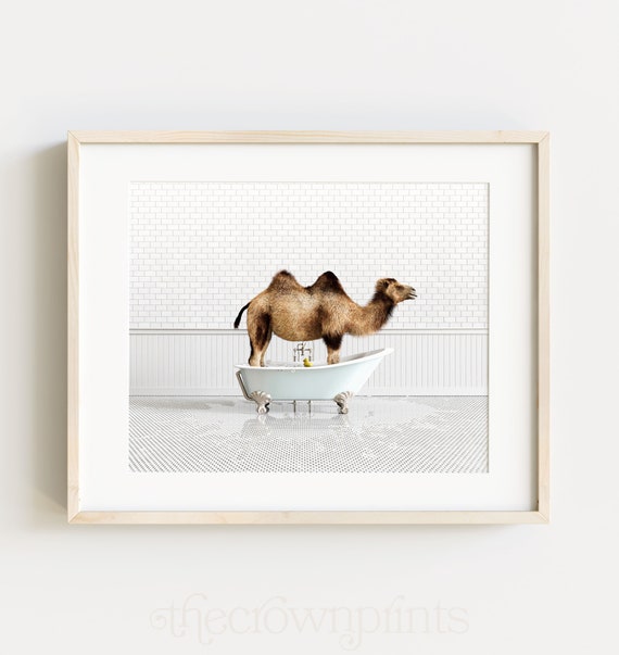 Camel Print Horizontal Animals in Bathtubs Bathroom Wall Art ...