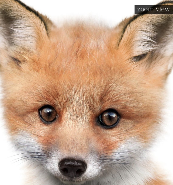 Baby Animal Prints Fox PRINTABLE Art Nursery Decor Animal - Etsy Baby Animal Prints Fox PRINTABLE Art Nursery Decor Animal - Etsy